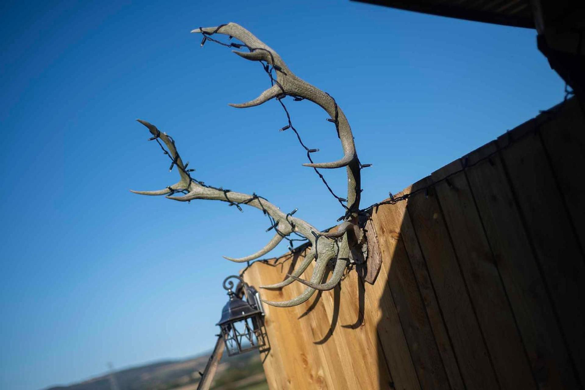 Burtree Country House, Tipi'S, Treehouse & Lodge & House Rooms With Hot Tubs In A Private Garden Thirsk Εξωτερικό φωτογραφία